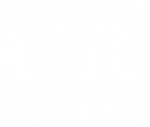 Coin Royal